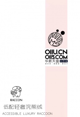 低配轻奢浣熊绒